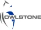 Owlstone Medical logo