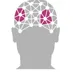 Oxeia Biopharmaceuticals logo