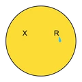 p5xr logo