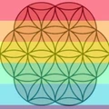 PAAVANI Ayurveda logo