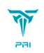PAI logo