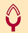 Pakka logo