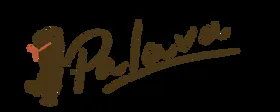 Palava logo