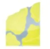 Pallasite Ventures logo