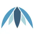 Palm Ventures logo