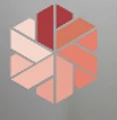 PALS Global Solutions logo