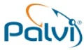 Palvi