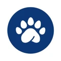 Pandape logo