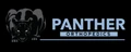 Panther Orthopedics logo