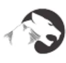 Panthera Peak Capital logo