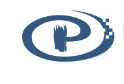 Paragon Dynamics