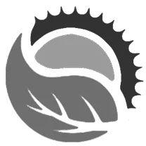 Paras Group