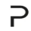 Parogon Group logo
