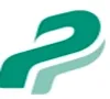PARVI GROUP logo