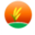 Pasidipanta