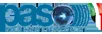 PASO logo