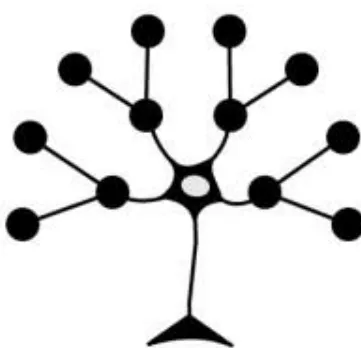 PathCision Medicine logo