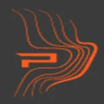 Pathfinder Aviation logo