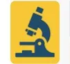 Pathkind Labs