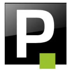 Pauldirekt logo