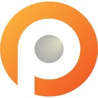 Pauwels Consulting logo