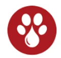 Paw CBD logo