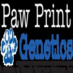 Paw Print Genetics logo