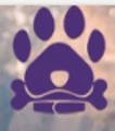 PawsnCollars