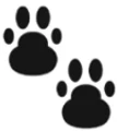 PawsOnline logo