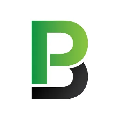 Payball logo