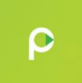 Paycepaid logo