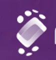 Paynovate logo