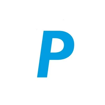 PayPing logo