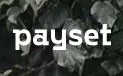 PaySet logo