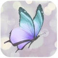 PCOS Diva logo