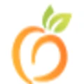Peach State Health Plan logo
