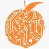 Peach IntelliHealth logo