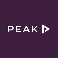 Peak Processing Solutions logo
