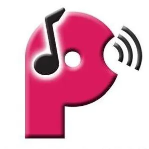 PeerTracks logo