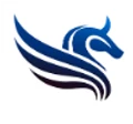 Pegase Health Systems