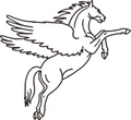 Pegasus InfoCorp