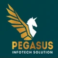 Pegasus InfoTech Solutions