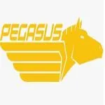 Pegasus Aeronautics logo