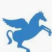 Pegasus FinInvest logo
