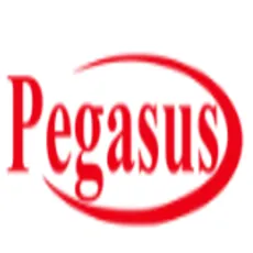 Pegasus logo
