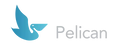 Pelican BI