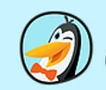 Pengwin logo