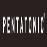 Pentatonic logo