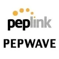 Peplink logo