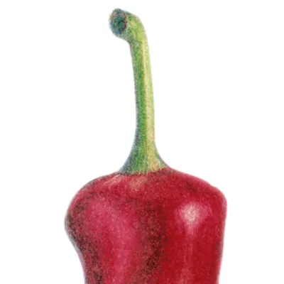 PEPperPRINT logo